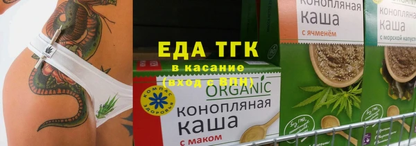 шишки Магас