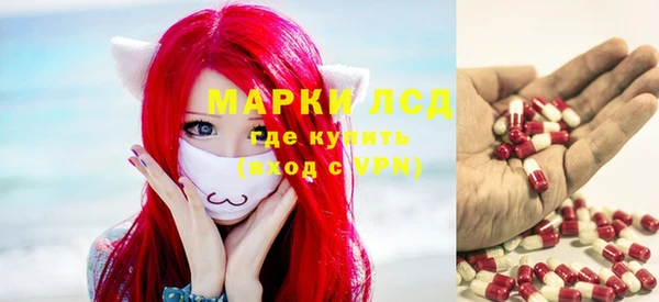 шишки Магас