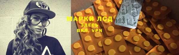 шишки Магас
