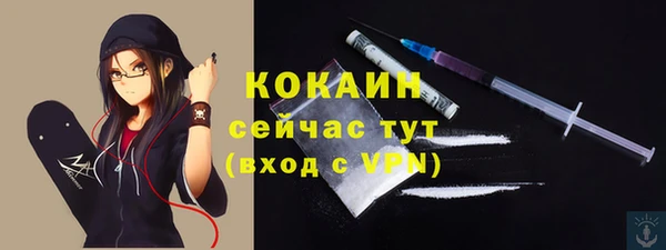 гидра Медвежьегорск