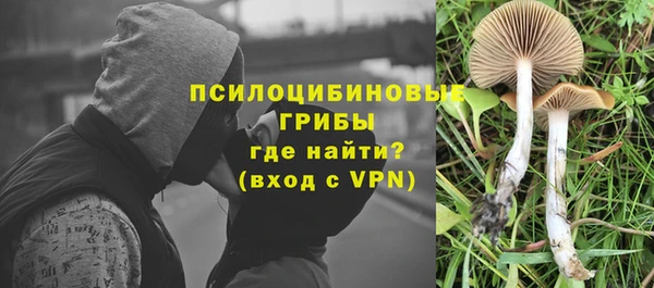 спайс Медногорск
