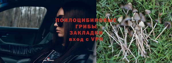гидра Медвежьегорск