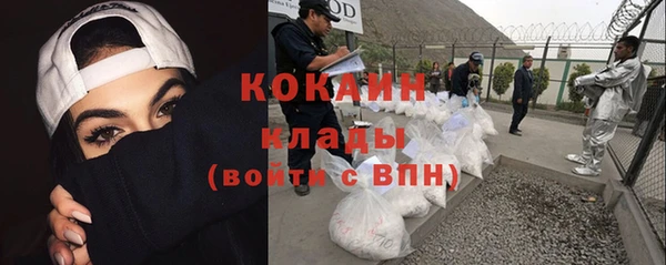 шишки Магас