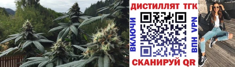 Купить где  Кировград  ТГК гашишное масло 