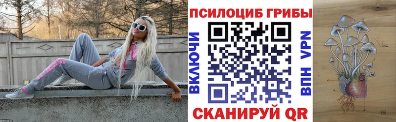 Галлюциногенные грибы прущие грибы  Купить закладки  Кировград 